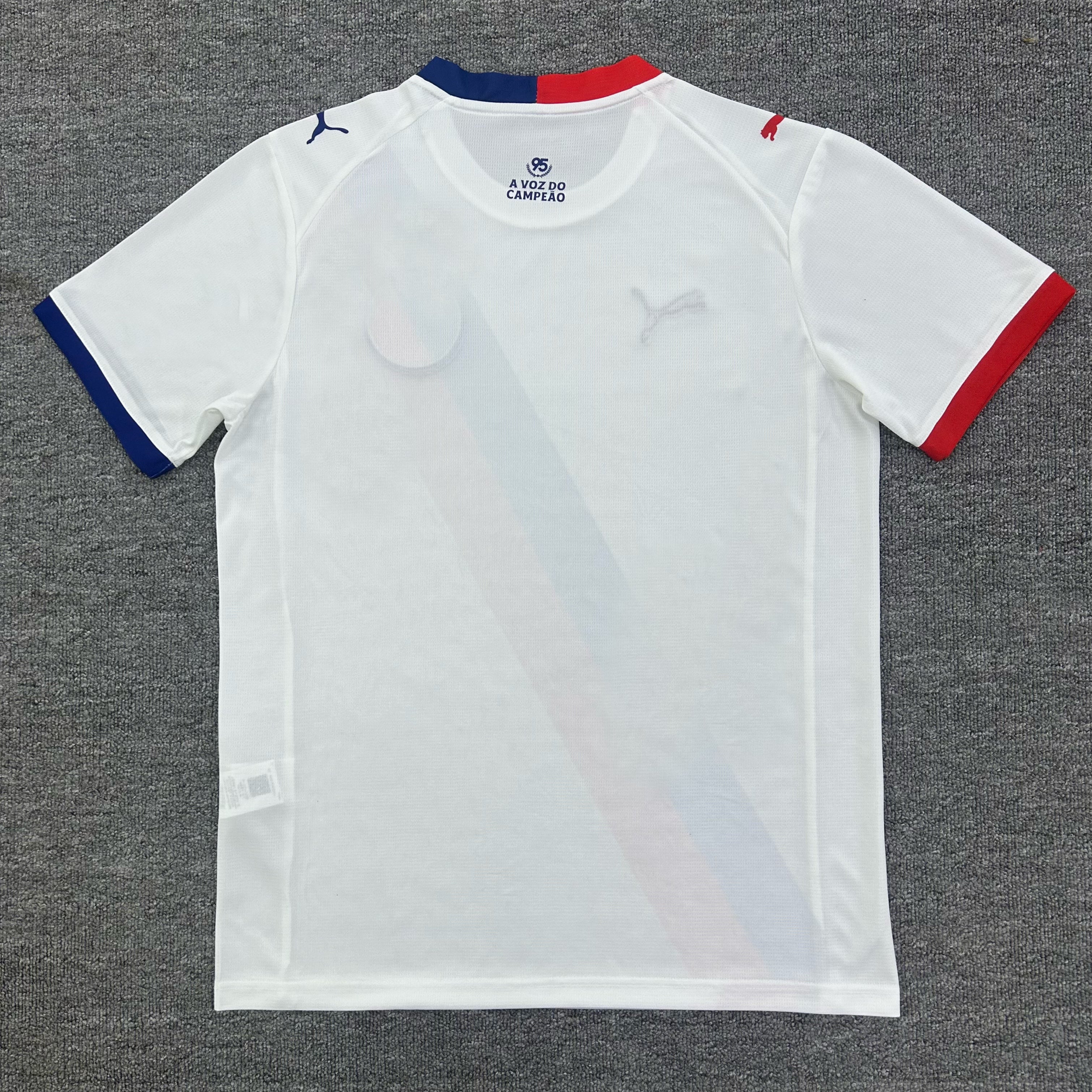 Camisa Reserva  Bahia 26/27